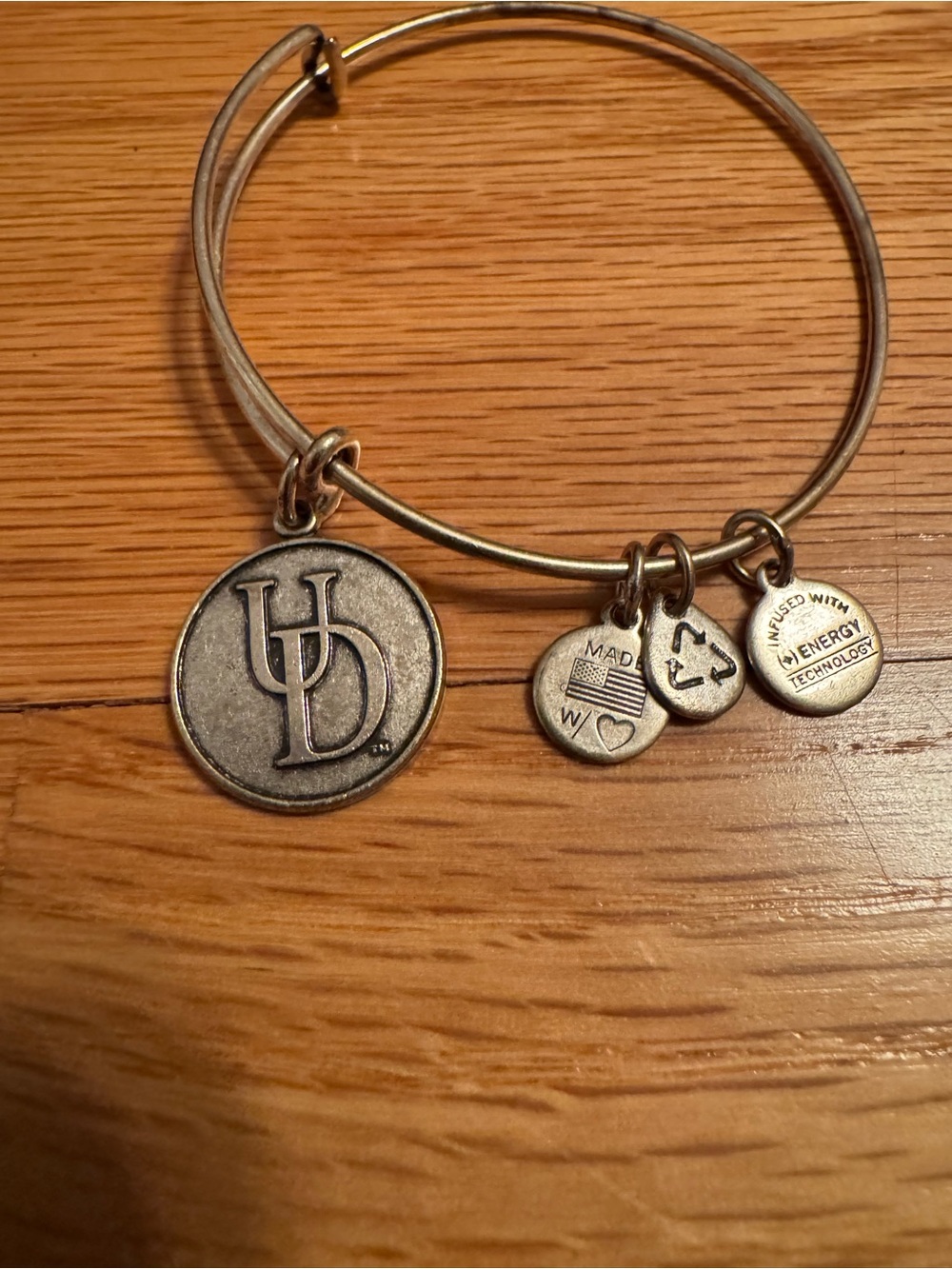 Alex and Ani Silver-Tone UD Charm Bangle Bracelet